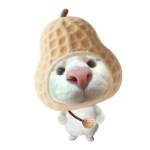 qifang Profile Picture